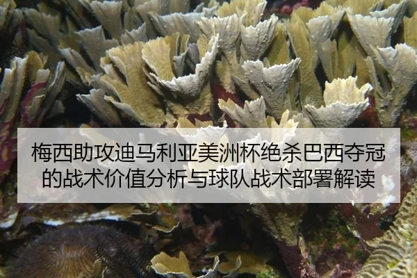 mei-xi-zhu-gong-di-ma-li-ya-mei-zhou-bei-jue-sha-ba-xi-duo-guan-de-zhan-shu-jia-zhi-fen-xi-yu-qiu-dui-zhan-shu-bu-shu-2-598.jpg